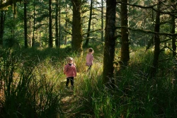 33756476551_7c82201efa_k