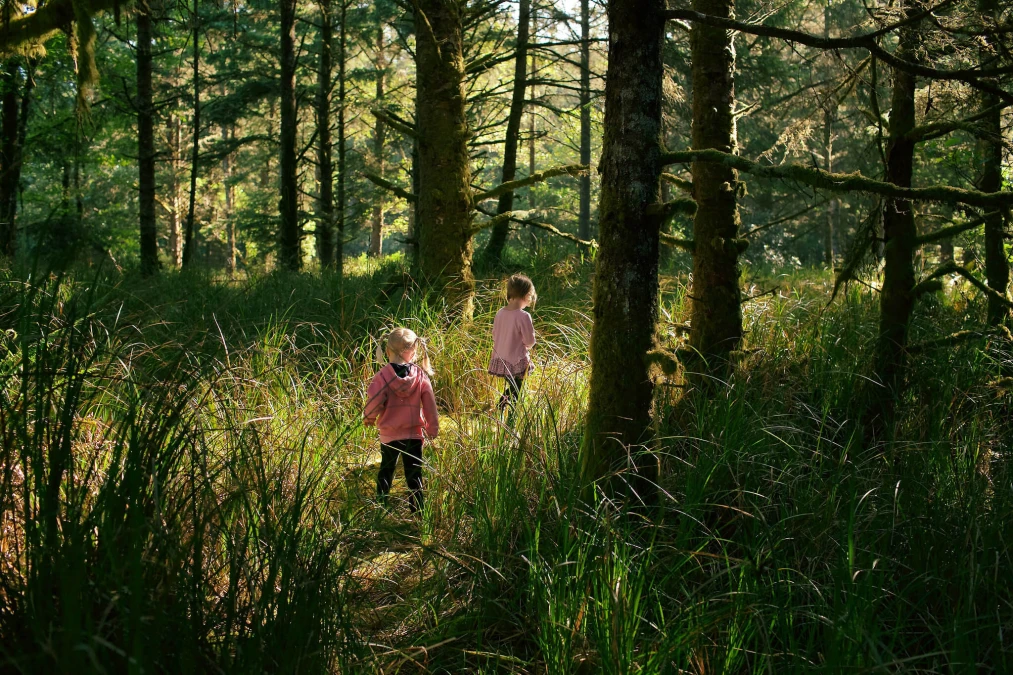 33756476551_7c82201efa_k