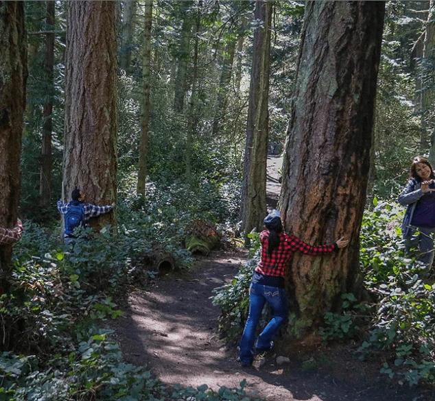 33024819014_e06b376514_k 1 2