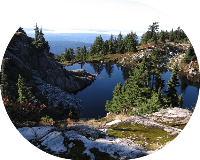 24921919155_cedc407e7a_k 2