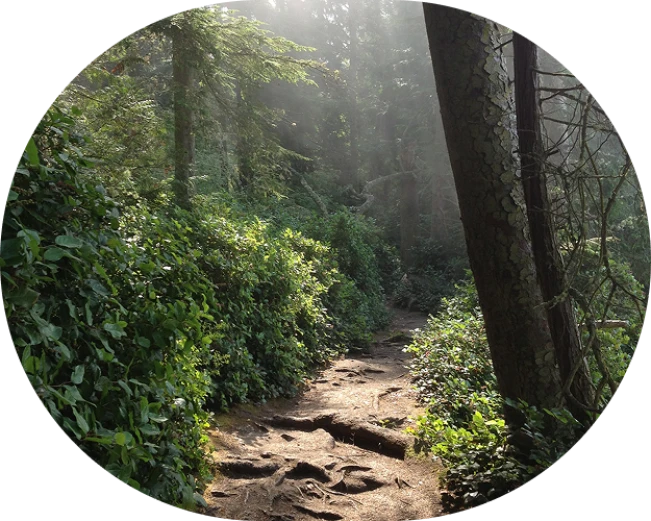 33501152380_0e40de1cff_k