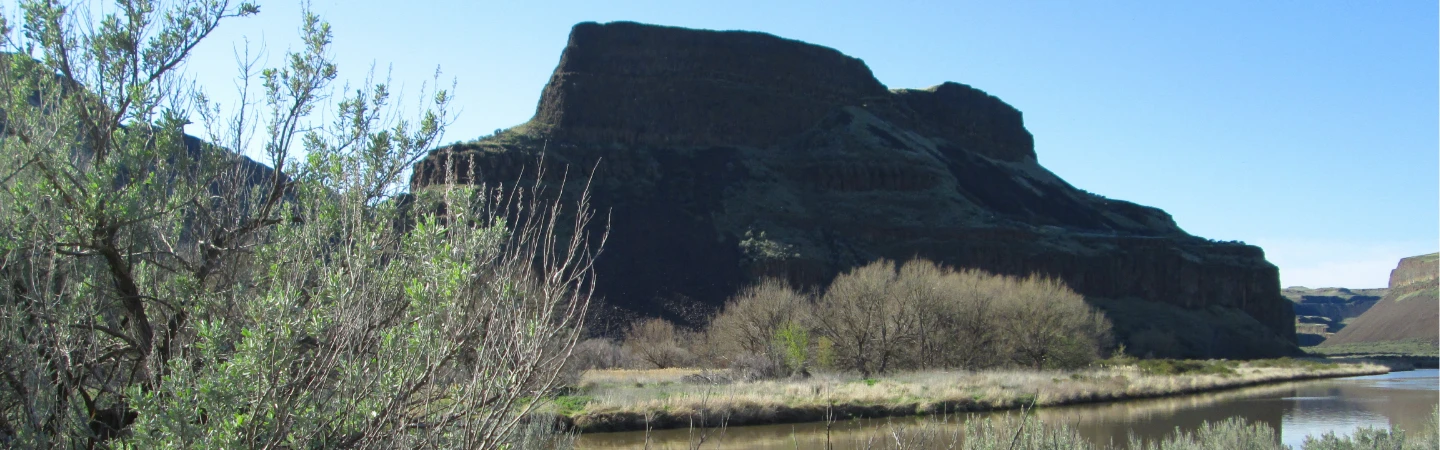 Lyons Ferry