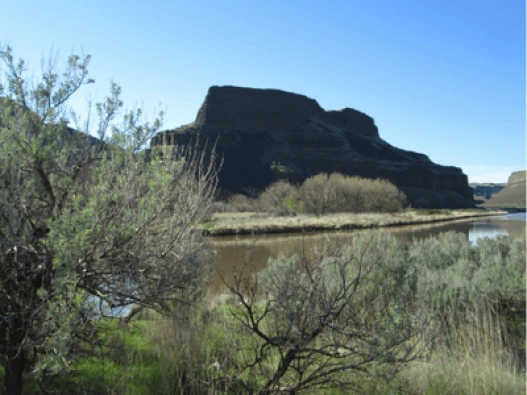 Lyons Ferry (1) (1)