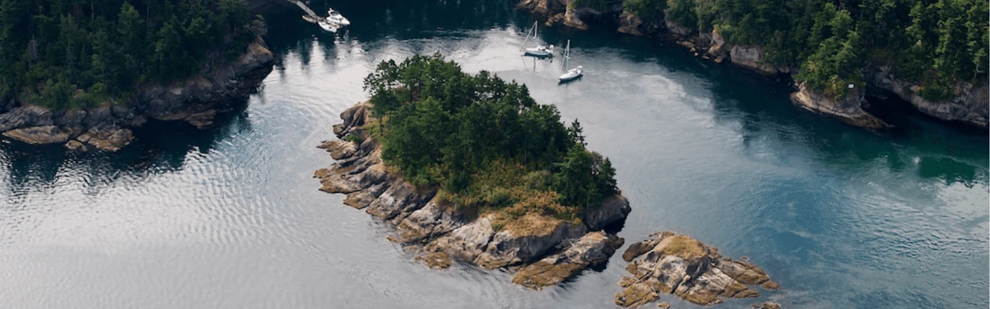 Matia Island Banner