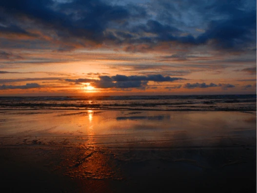 Ocean City Thumbnail