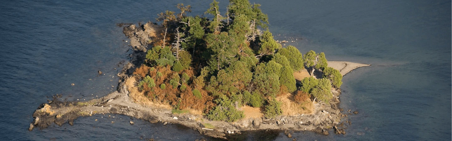 Posey Island Banner