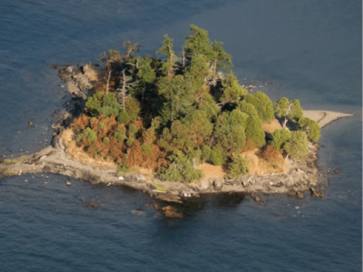 Posey Island Thumbnail