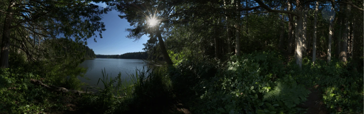 Anderson Lake Banner