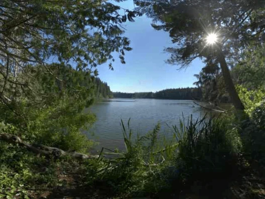 Anderson Lake Thumbnail (1)