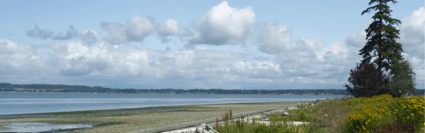 Birch Bay Banner