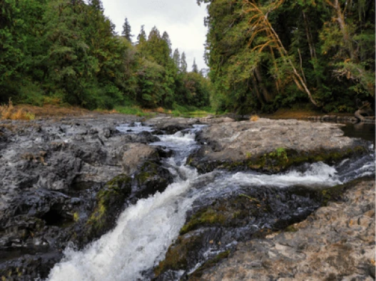 Rainbow Falls Thumbnail