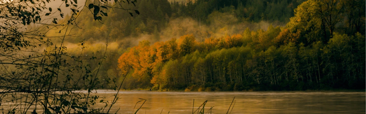 Rasar Banner