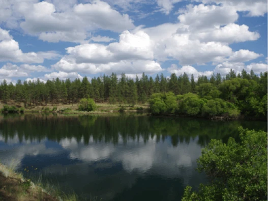 Riverside Thumbnail