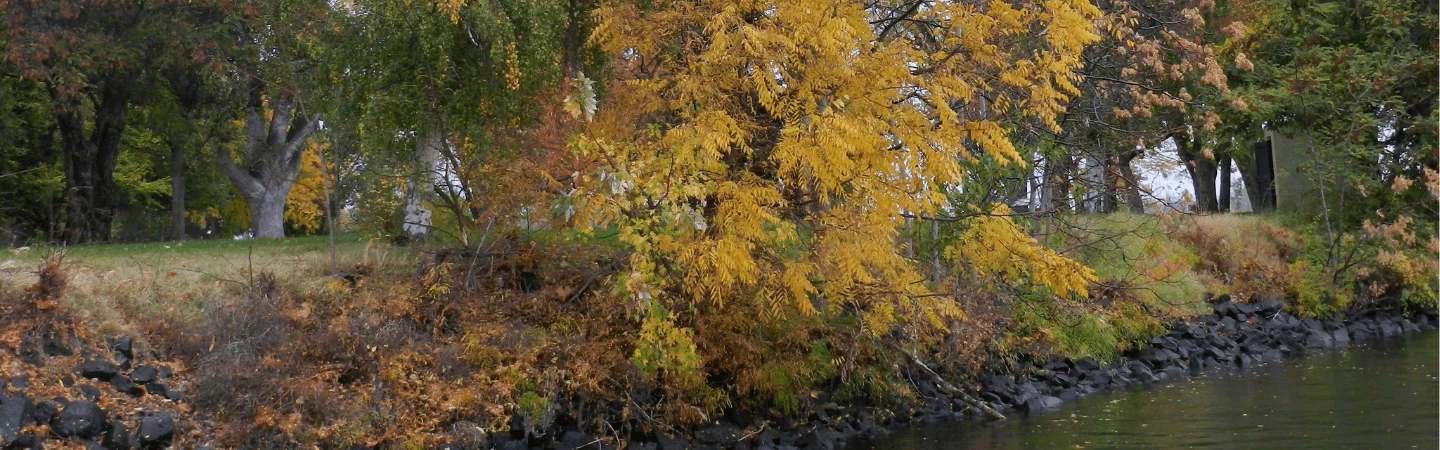 Sacajawea Banner