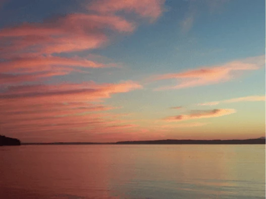 Saltwater Thumbnail