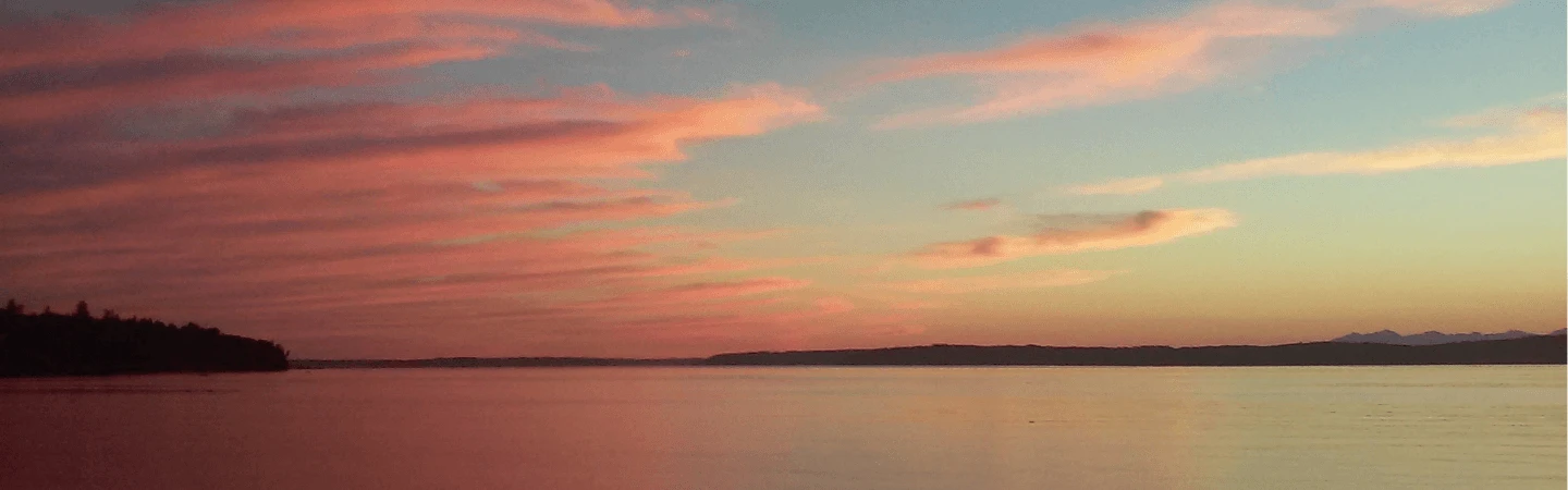 Saltwater Banner