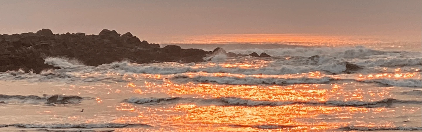 Scenic Beach Banner
