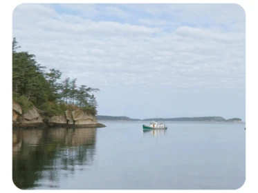 Matia Island VT tinified