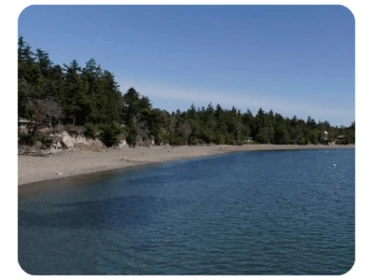 Mystery Bay VT