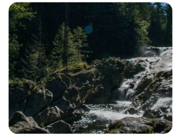 Olallie VT