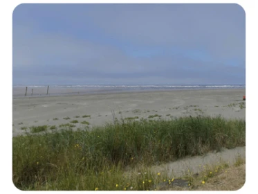 Pacific Beach VT