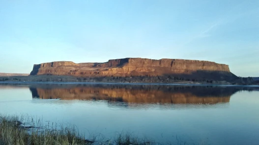 54303702544_96f43cc56a_k