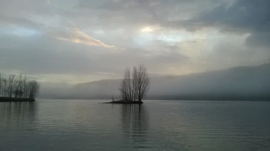 33041337054_d2b0e350cc_k