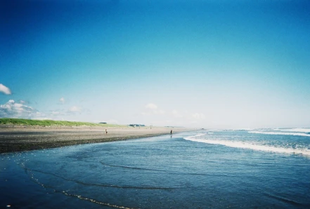 33500181750_c7927db2f7_h
