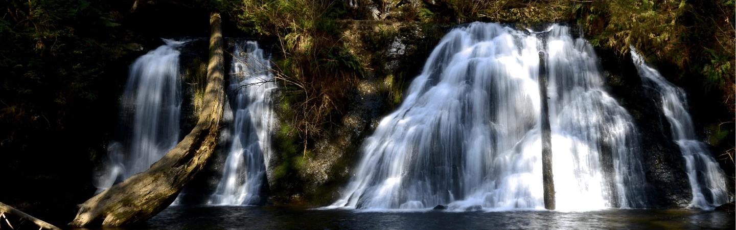 Wallace Falls Banner