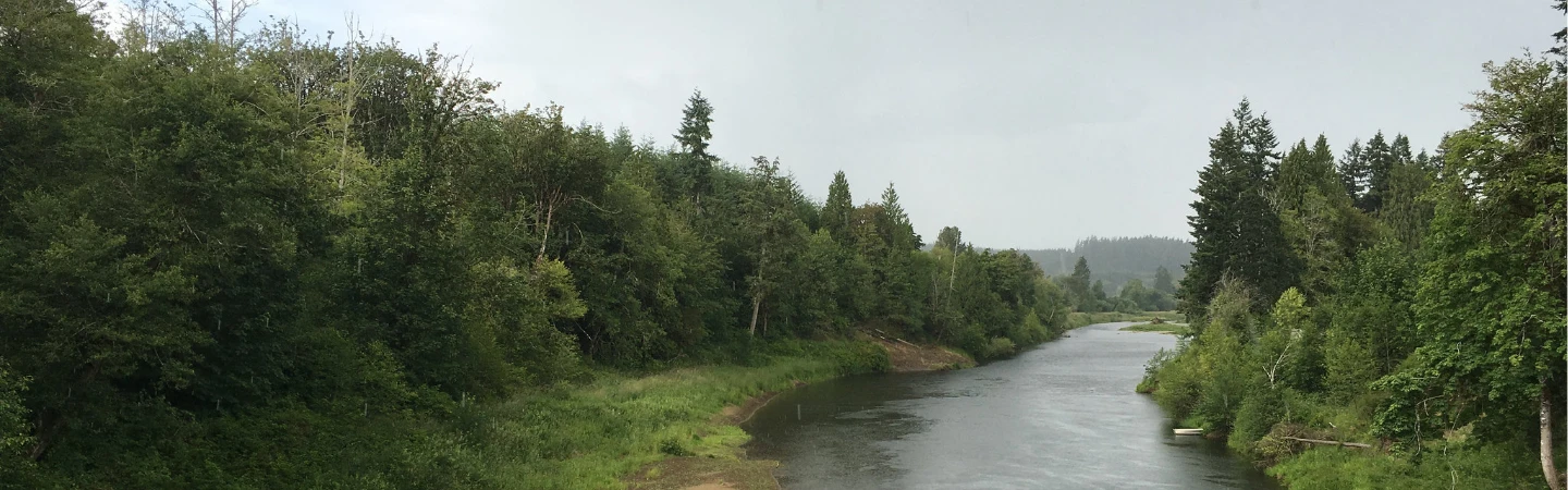 Willapa Hills Banner