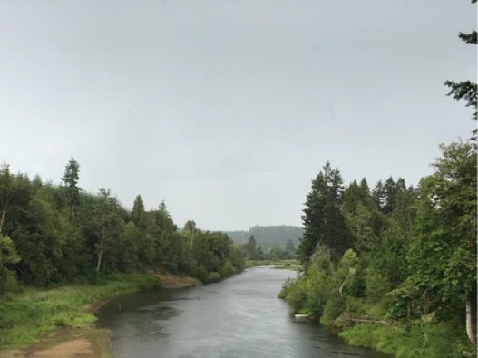 Willapa Hills Thumbnail