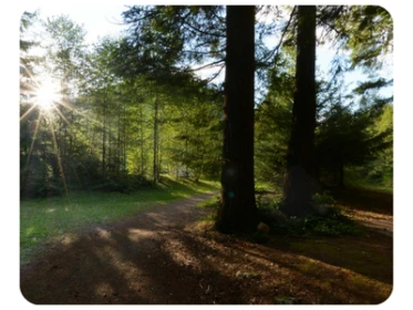 Palouse to Cascades Trail