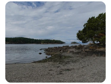 Posey Island