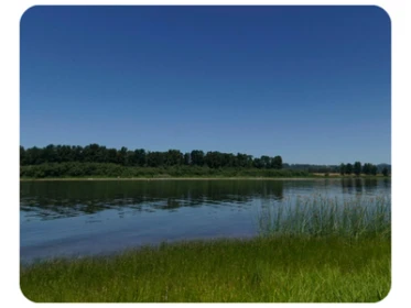 Reed Island