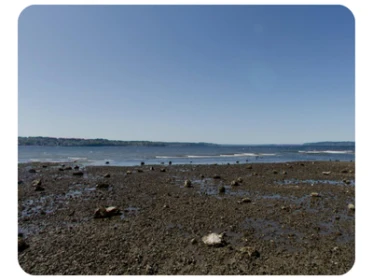 Saltwater