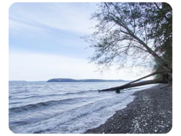 Scenic Beach