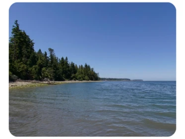 Sequim Bay