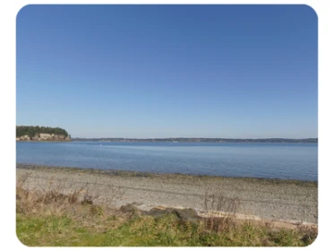 Shine Tidelands