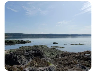 Skagit Island