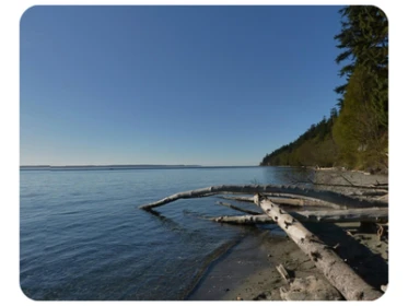 South Whidbey