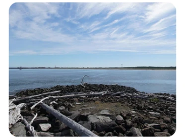 Westport Light