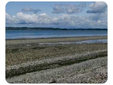Birch Bay