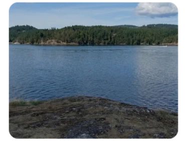 Blind Island