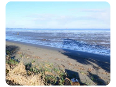 Bottle Beach