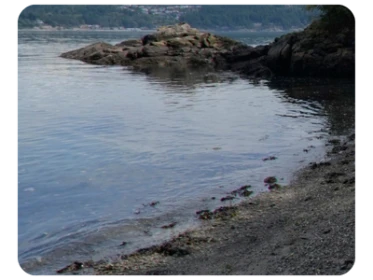Burrows Island