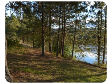 Curlew Lake