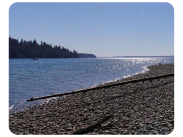 Cutts Island