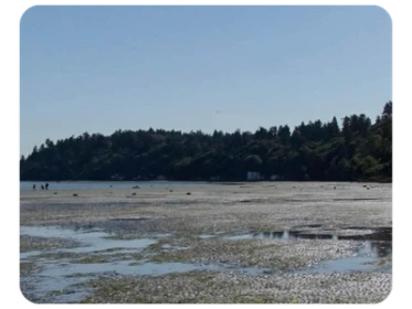 Dash Point