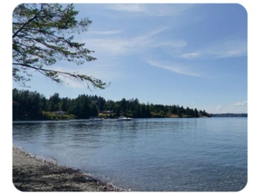 Eagle Island