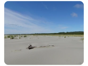 Grayland beach